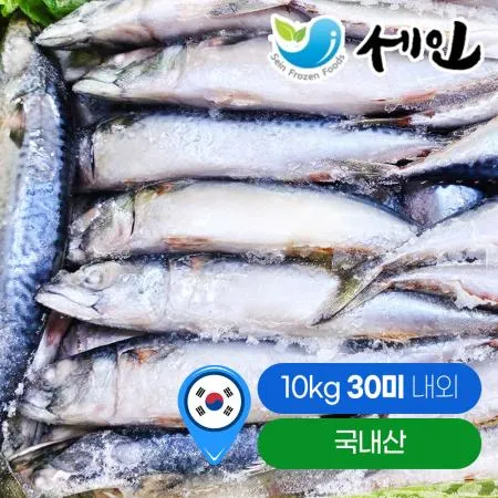 냉동 국내산 생물 고등어 약 30미 내외 업소용 도매 10kg