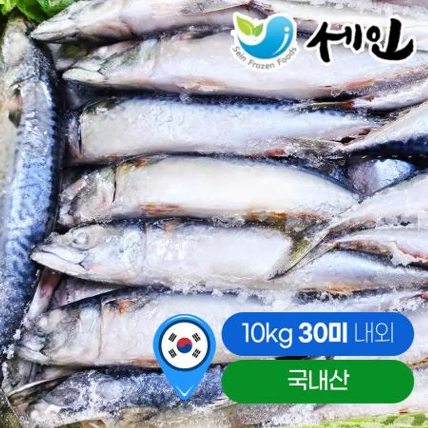 냉동 국내산 생물 고등어 약 30미 내외 업소용 도매 10kg 이미지