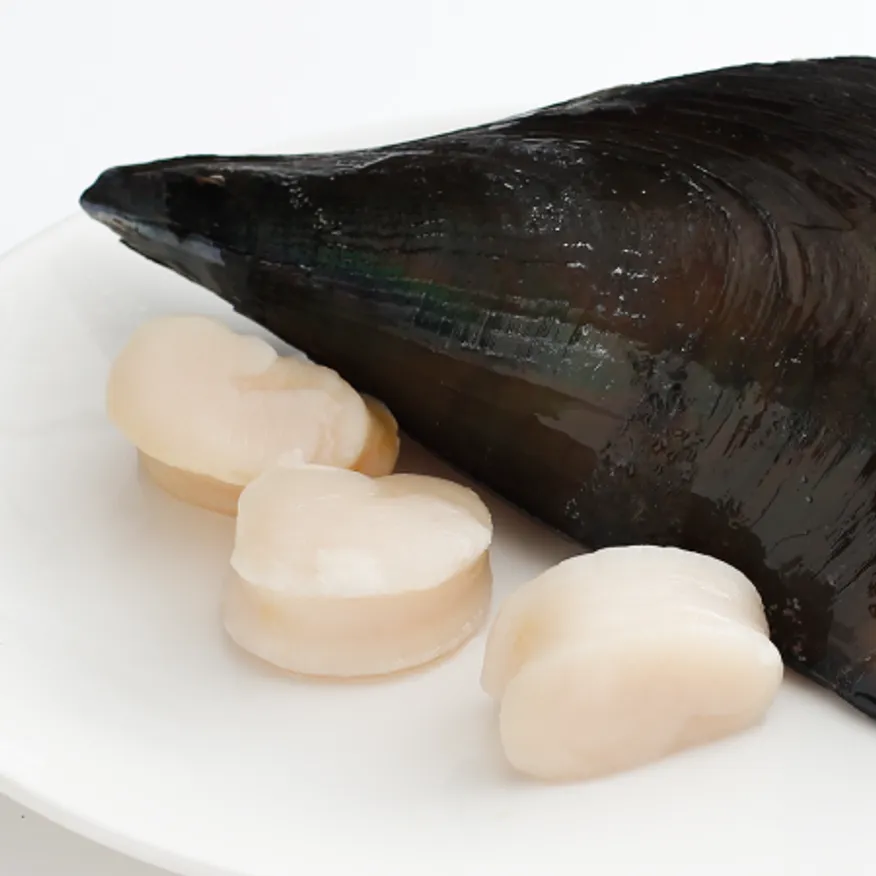 냉동 키조개관자살 1박스 10kg (1kgx10팩) 16/20 대 이미지