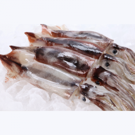 원양산 선동오징어 20kg(L) 36마리 내외 냉동 통오징어 이미지