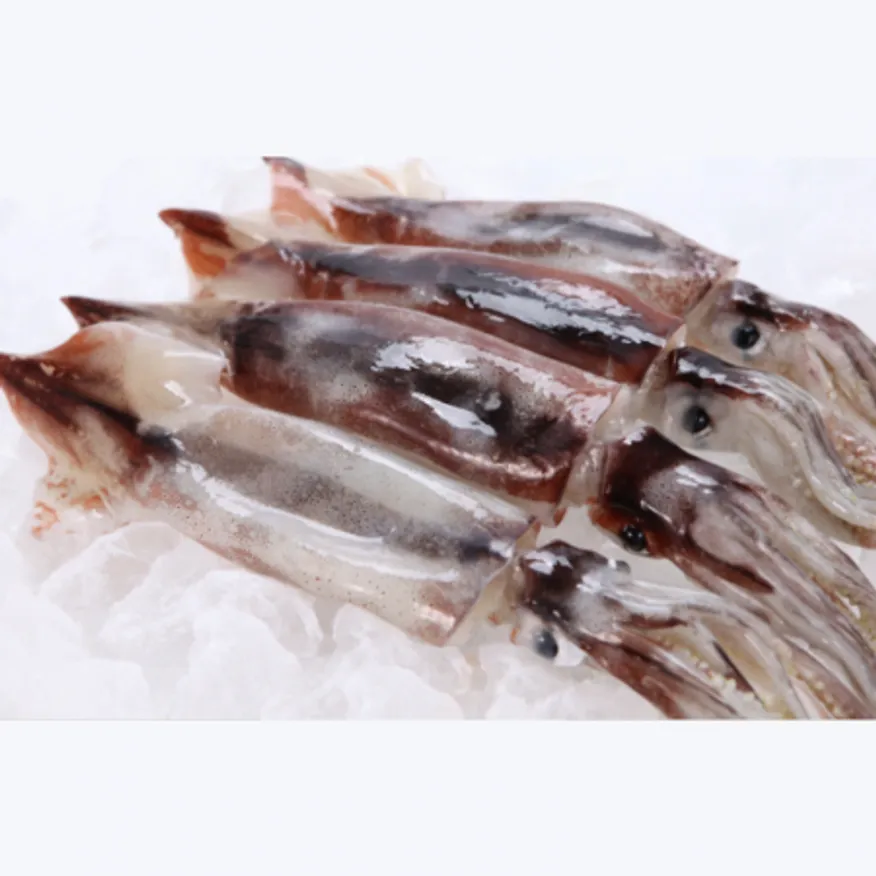 원양산 선동오징어 20kg(L) 36마리 내외 냉동 통오징어 이미지