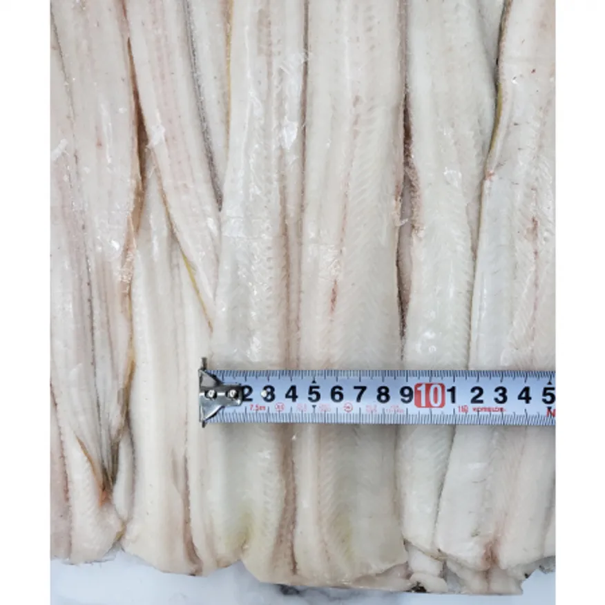 손질 붕장어 필렛 16kg(4kgx4) 51-55cm 냉동 바다장어 아나고 이미지