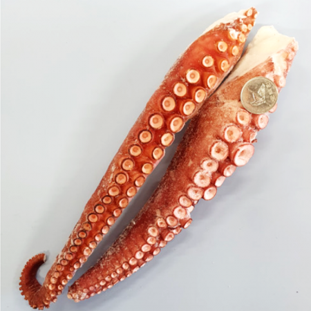 손질 자숙문어다리1kg 한팩 3~4개 국산 