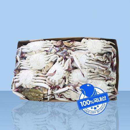 국내산 숫꽃게 10kg 냉동 꽃게