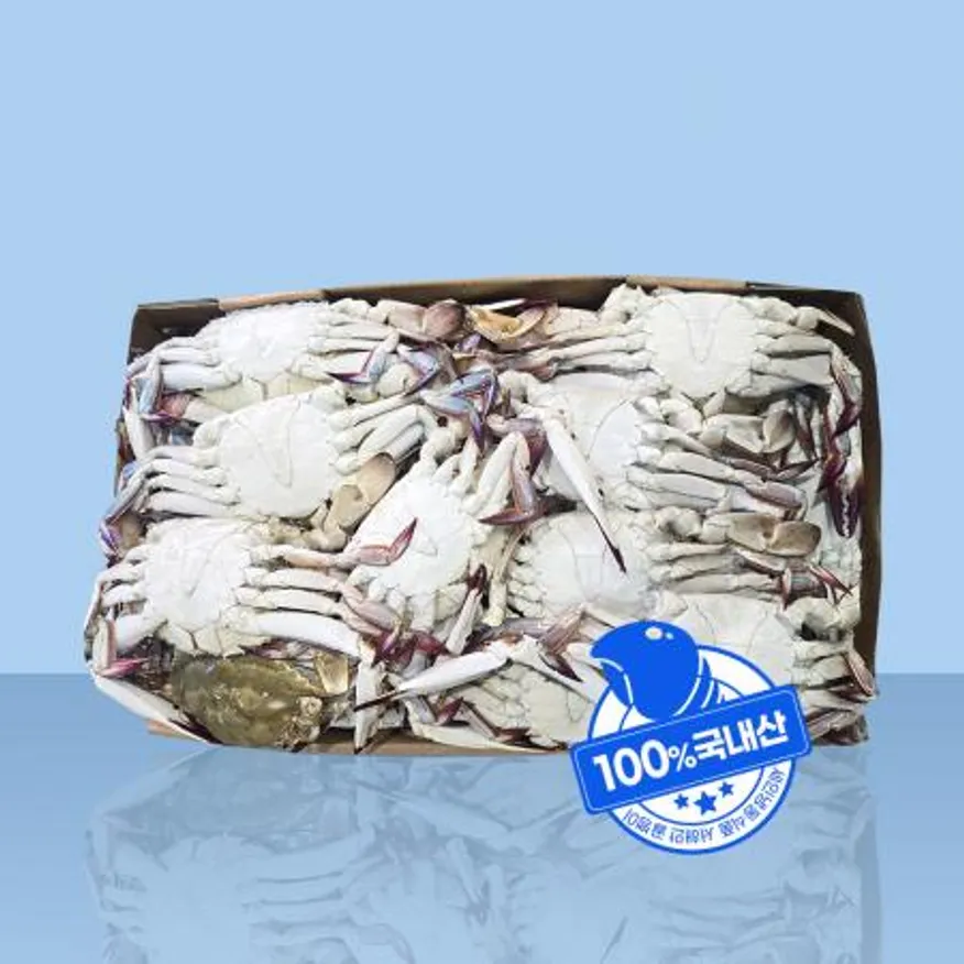 국내산 숫꽃게 10kg 냉동 꽃게 이미지