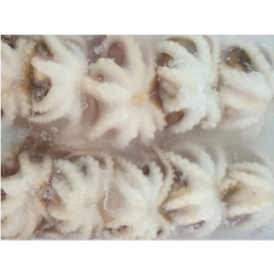 냉동 손질 쭈꾸미 200g 10미 생물쭈꾸미 이미지