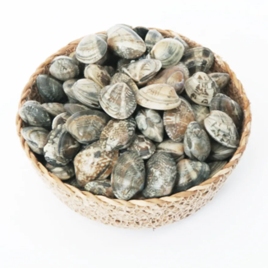 냉동 바지락 1박스5kg (500gx10팩) 피바지락 이미지