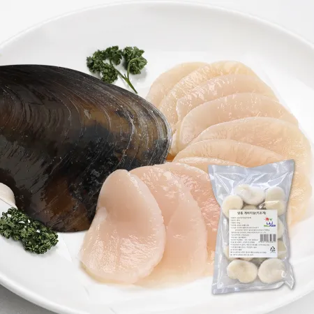 손질 키조개관자 500g 통관자 개아지살 16/20 대