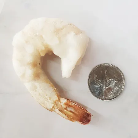 칵테일새우 900g (21/25) 냉동 새우 42~50미 탈각 생새우 특대 이미지
