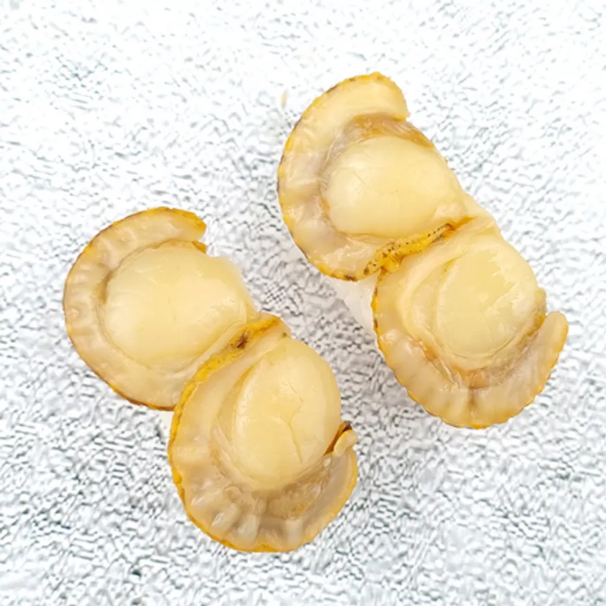 초밥용 조미 가리비 120g (6g*20pcs) 초가리비 초밥재료 이미지
