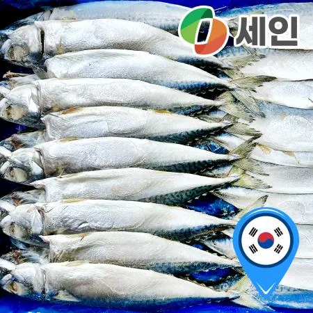 자반고등어 국산 20손 간고등어 9.5kg