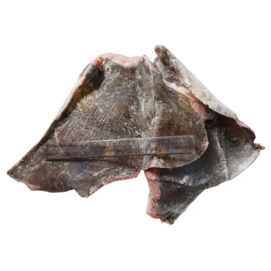 가오리 날개 17~18kg내외 대용량 냉동가오리날개 이미지