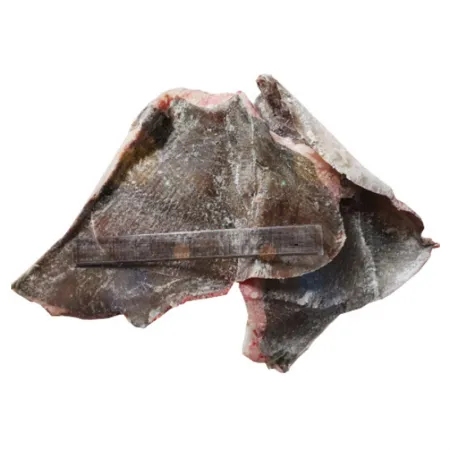 가오리 날개 17~18kg내외 대용량 냉동가오리날개 이미지