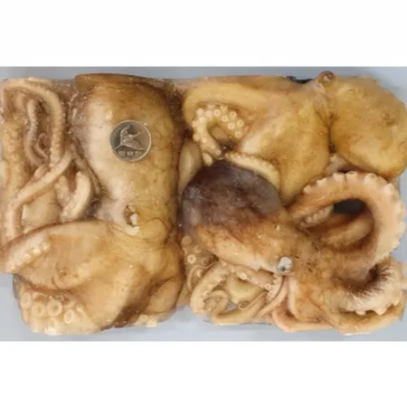 활낙지 850g 3미 냉동낙지 300up 이미지