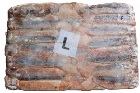 원양산 선동오징어 20kg(L) 36마리 내외 냉동 통오징어 이미지