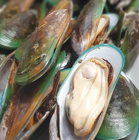 뉴질랜드 초록입홍합 1박스8kg (800gx10팩) 자숙 그린홍합 이미지