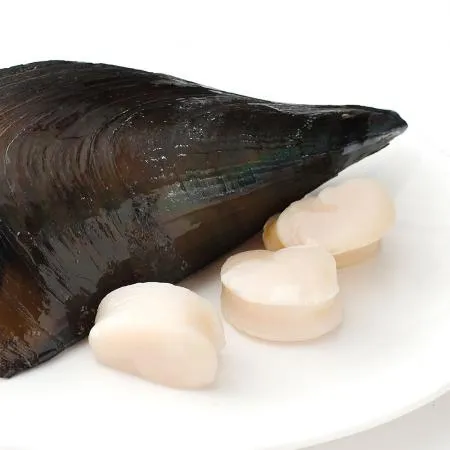 냉동 손질 키조개관자 1kg 통관자 개아지살 16/20 대 이미지