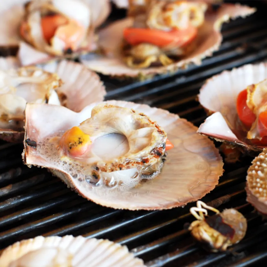 냉동 반가리비 5-6미 180g 반탈각 참가리비 이미지