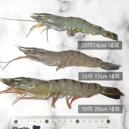블랙타이거새우 15미 1박스5kg (500gx10팩) 업소용 냉동 대하 이미지