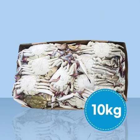국내산 숫꽃게 10kg 냉동 꽃게 이미지