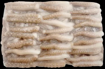 절단낙지 3kg M사이즈 3kg(500gX6ea) 손질낙지 베트남 도매 업소용