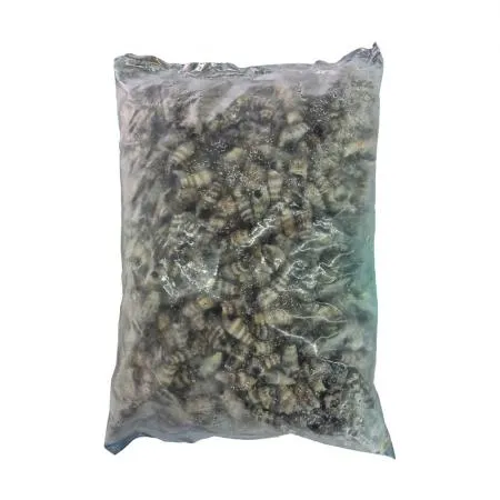 자숙 갯고동 바다다슬기 1kg 냉동갯고둥