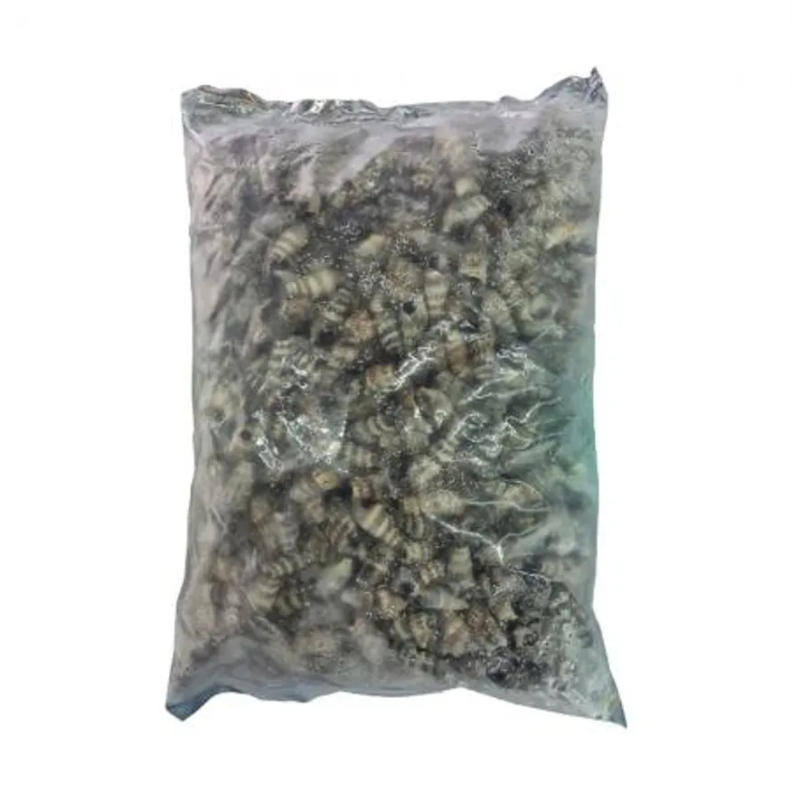 자숙 갯고동 바다다슬기 1kg 냉동갯고둥 이미지
