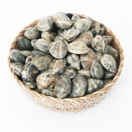 냉동 바지락 피바지락 500g 1팩