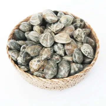 냉동 바지락 피바지락 500g 1팩