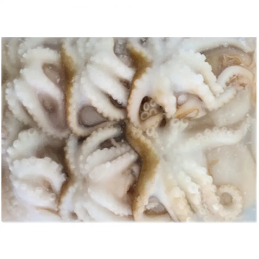 손질 쭈꾸미 6미 2.4kg (12ea*200g) 냉동 생물쭈꾸미 이미지