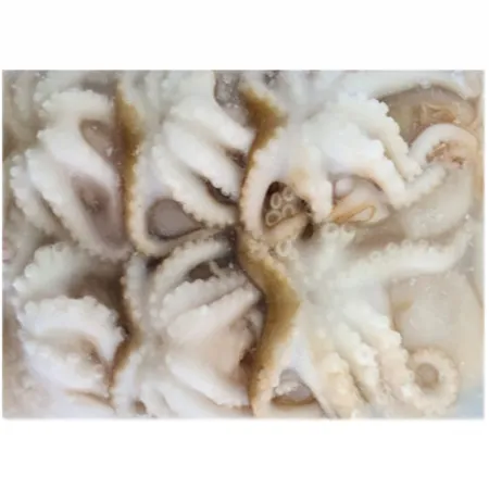 손질 쭈꾸미 6미 2.4kg (12ea*200g) 냉동 생물쭈꾸미 이미지