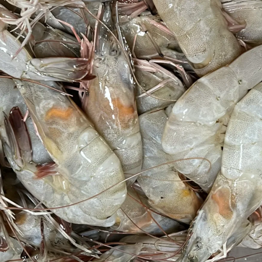 에콰도르 흰다리새우 2kg(40-50) 90마리내외 냉동통새우 이미지