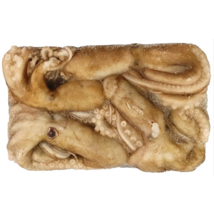 활낙지 850g 4미 냉동낙지 200-300 이미지