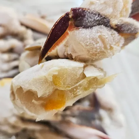 국내산 절단꽃게 1박스 8kg (400gx20팩) 냉동 국산 한팩당10조각내외 이미지