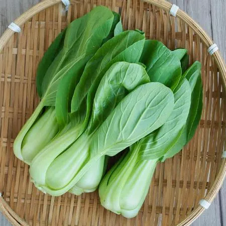 늘바른 국내산 친환경 무농약 청경채 150g10봉
