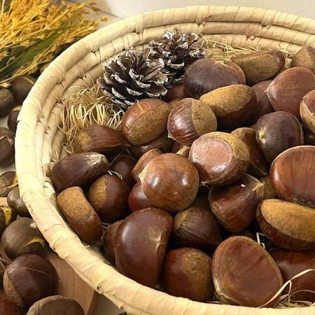 삼삼한 공주밤 (대) 무칼집 1kg