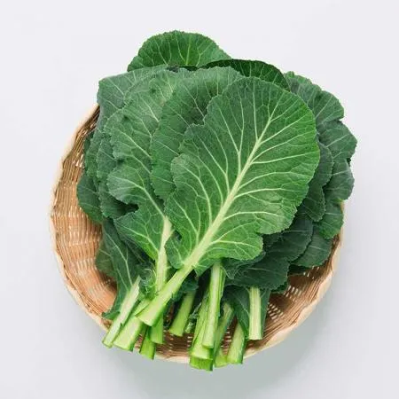 늘바른 국내산 친환경 무농약 쌈케일 100g3봉