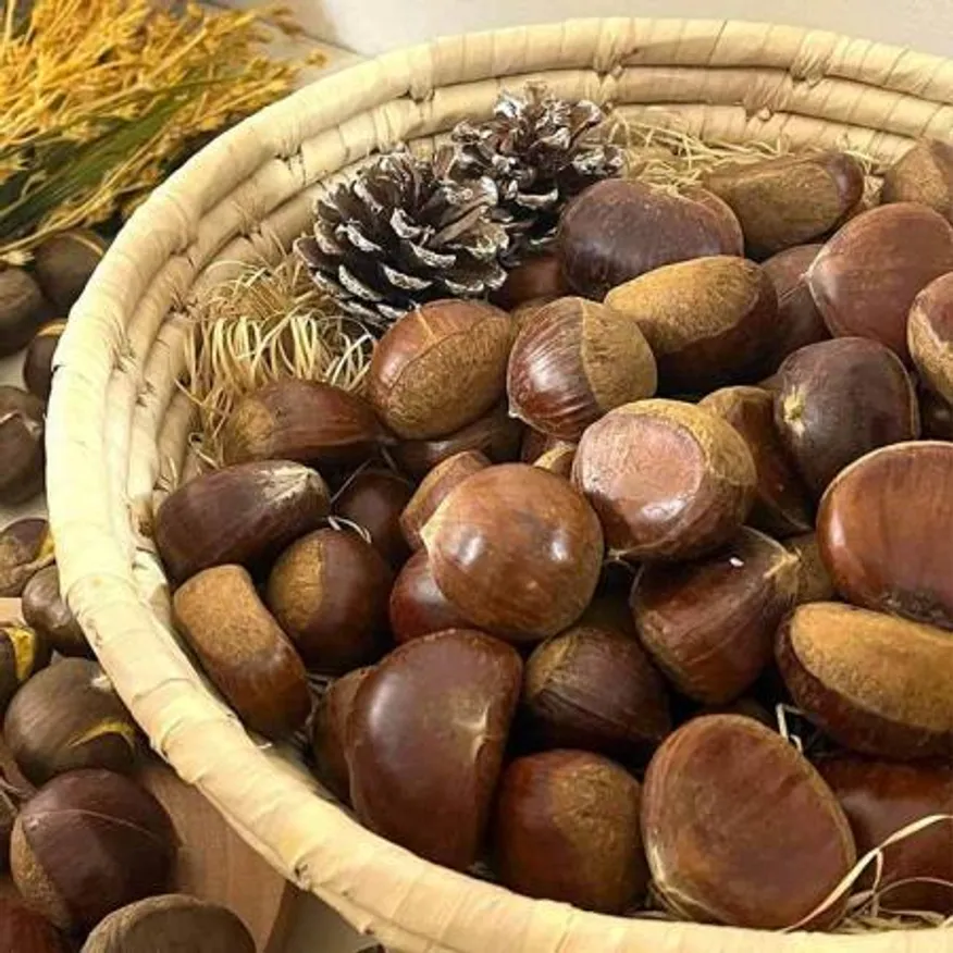 삼삼한 공주밤 (중) 무칼집 1kg 이미지