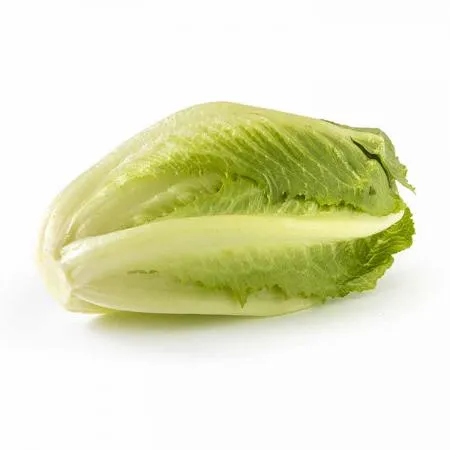 늘바른 국내산 친환경 무농약 청로메인 100g10봉