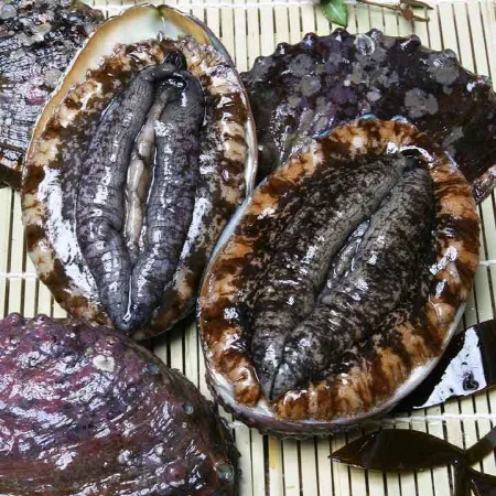 [완도 산지직송]삼삼한 현탑수산 완도 활전복16-18미 선물세트 산소포장