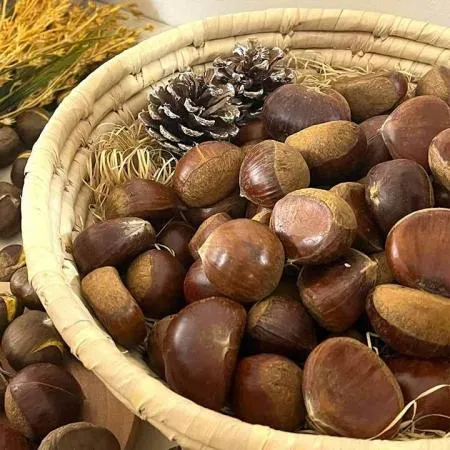 삼삼한 공주밤 (중) 무칼집 1kg2팩