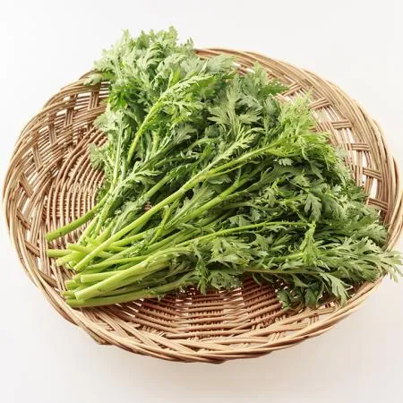 늘바른 국내산 친환경 무농약 쑥갓150g3봉