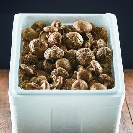 늘바른 국내산 친환경 무농약 표고버섯(못난이)1kg