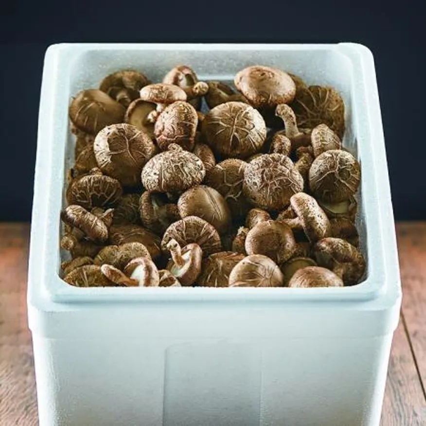 늘바른 국내산 친환경 무농약 표고버섯(못난이)1kg 이미지