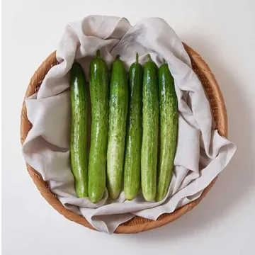 늘바른 국산 친환경 무농약 백오이 2입3봉