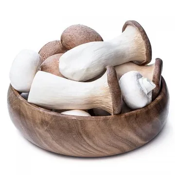 늘바른 국내산 친환경 무농약 새송이버섯250g2팩