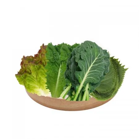 늘바른 국산 친환경 무농약 모듬4종200g10봉(적상추+청상추+깻잎+쌈케일)