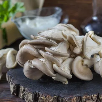 늘바른 국내산 친환경 무농약 느타리버섯200g