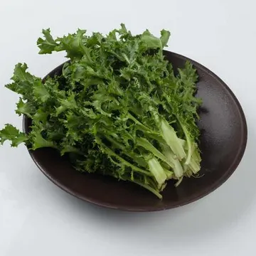 늘바른 국내산 친환경 무농약 치커리 100g6봉