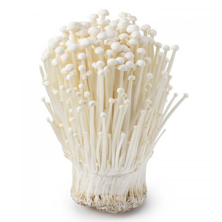 늘바른 국내산 친환경 무농약 팽이버섯5kg